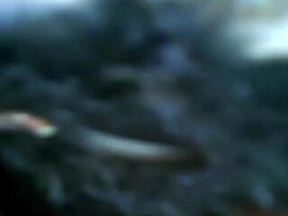 she pulled out her big tits and titty fucked me