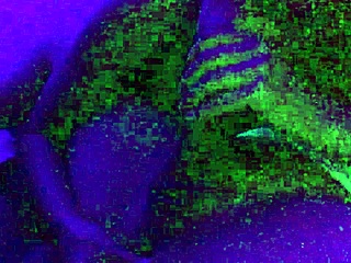 Housewife Rides Monster Cock In Lingerie During Dark Homemade Session