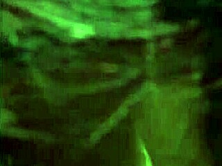 Lebanese Stars In Cultural Performances