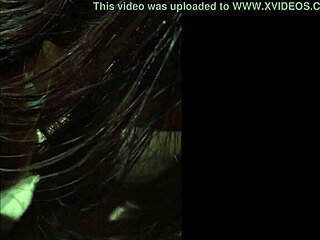 Lebanese Stars In Cultural Performances