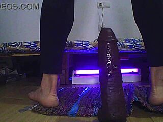 Training My Ass With Dildo Toys And Anal Play