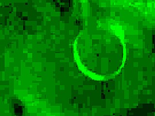 Escort provides a special service