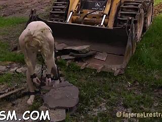 curvaceous blonde honey was caught while she was masturbating, hardcore bdsm slave toys fetish blowjob?