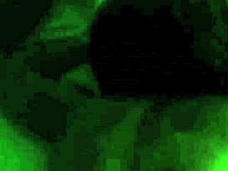 Iceberggslim Takes Intense Pounding From Big Black Cock In Homemade Video