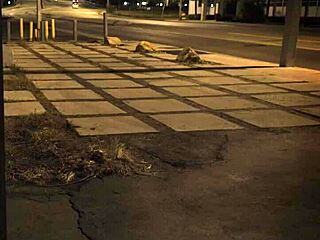 Trampling Domination Unless Youre From The Sixties And Dig That