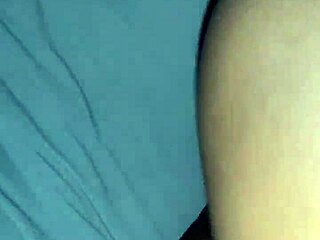 Bbw Wife Sucks Dick and Gets Fucked in Pov