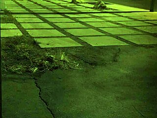 Trampling Domination Unless Youre From The Sixties And Dig That