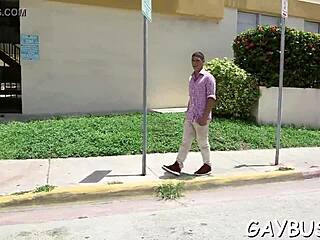 Detailed Gay Weenie Porn Scenes.