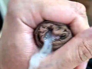 Hey man, I’m just gozando bem gostoso over here!