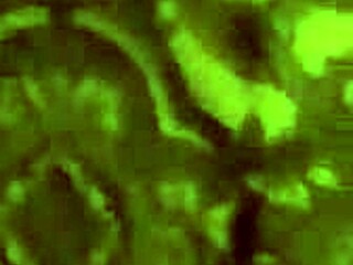 Me Follan A Cuatro Mi Postura Favorita