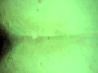 Creampie My Wife From Behind In Homemade Scene