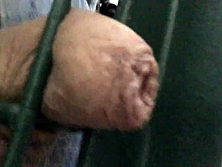 Oh wow, that gate got me so worked up close!