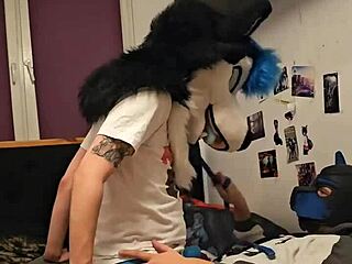 Holy cow! Femboy husky fursuiter cums hard riding boyfriend's cock!