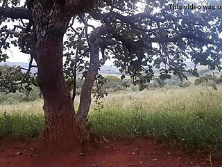 Blonde teen fucked with monster cock on public road