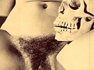 Vintage Bizarre Dark Lantern Entertainment Presents My Secret Life The 19th Century Diaries Of An English Gentleman