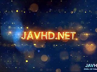 Japanese Beauties In Lingerie