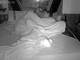 transa appearing in bbb 23 reality show