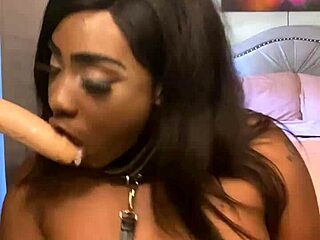 lexo butterflys shows off her skills