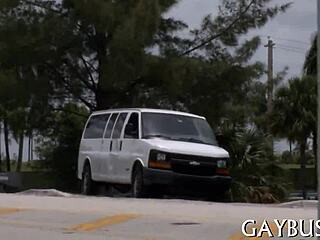 Bear-style gay community interaction in a neutral setting