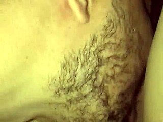 crave a taste of that sweet european kitty tonight