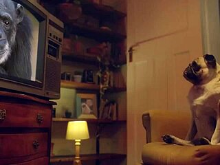 Liz Rainbow gags hard on thick cock pov 😜