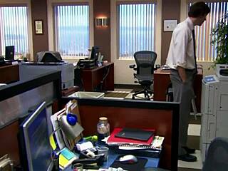 Sans works in the office environment daily