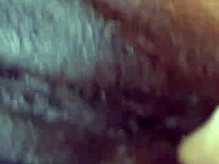 Ollie And Steph's Couple Compilation Part 2