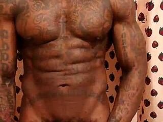 Ever seen a big black hairy dick worshipped? Hallelujah Johnson brings pure anarchy!