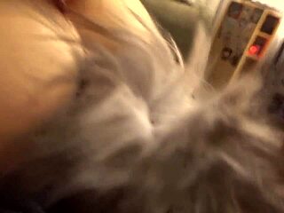 Andy Savage's girl rocks fox tail in tight ass for wild ride