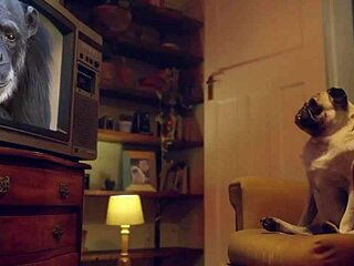 hey, check anna khara deepthroating that cock like a pro