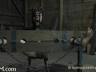 Extreme castigation excites the chick