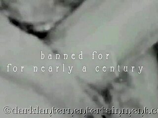 Dark Lantern shares one night from a victorian gentleman's erotic confessions