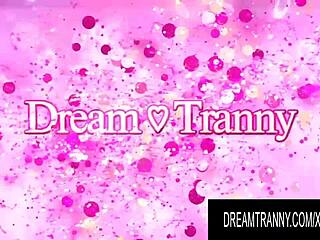 Dream Tranny Pretty Trannies Sucking Big Black Cocks 😍