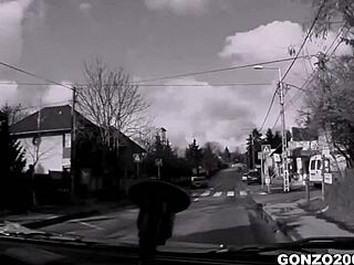 best friends fuck lea lexis - gonzo