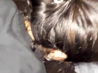 My exhibitionist stepsister with giant cameltoe begged me to join her chores—ended up pounding her hard!