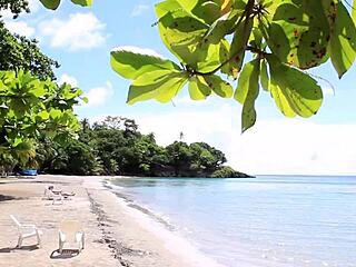 Linda Gonzalez Victor Bloom Meeting