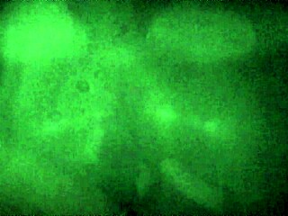 Girlfriend Sucks Cocks In Glory Hole With Friend