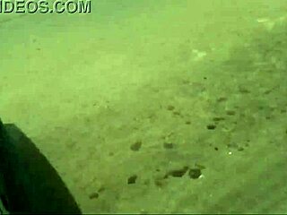 Picked up girl at gym and took her home