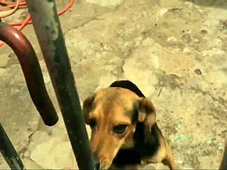 Picked up girl at gym and took her home