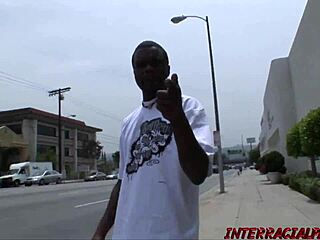 Big Tit Milf Michelle Takes Hard Anal From Big Black Cock.