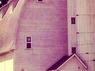 Sexy BBW masturbates with huge tits during happy holidays