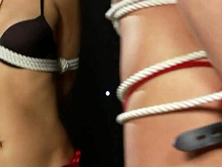 Hey, wanna watch a sexy redhead and blonde tied up in lingerie?