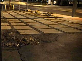 bondage dildo dp unless you're from the sixties and dig that earth!