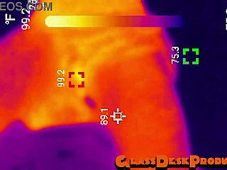 sandiego hunters get rough anal at rave tunnel, caught on camera 😱