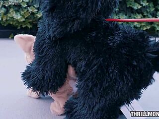 Youthful Babe Fucked In All Positions With Rough Sucking And Blowjob