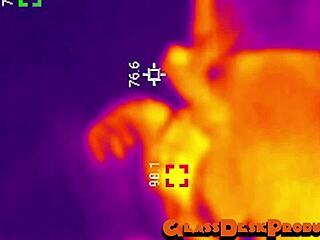 sandiego hunters get rough anal at rave tunnel, caught on camera 😱