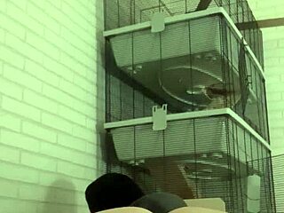 HORNY PISS PLAY on my sofa with wet ass and tattoos