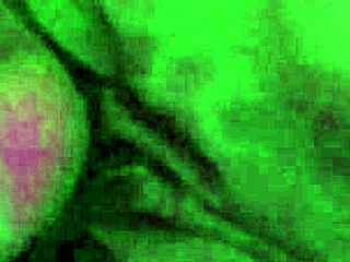 Milky Mari, Pregnant Teen, Rides Stranger Bareback After Party, Lactating Tits Bouncing