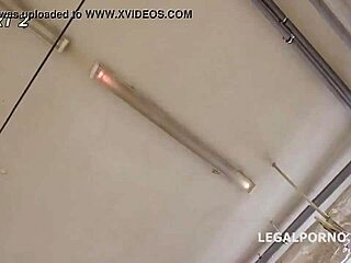 Madison Lush and Monika Wild Perform Intense Fetish Acts