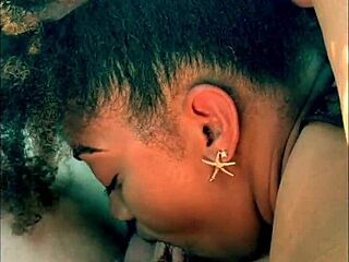 Interracial couple pulls over for anal fun